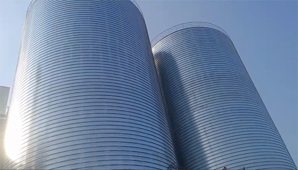 云龙2座混凝土高架卷板仓